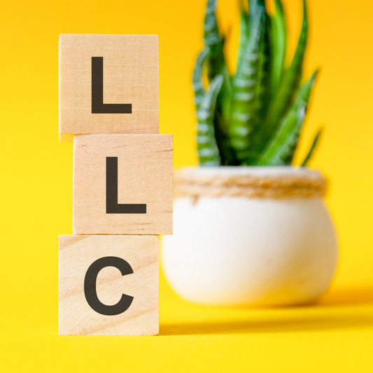 Registration of Limited Liability Company (LLC)